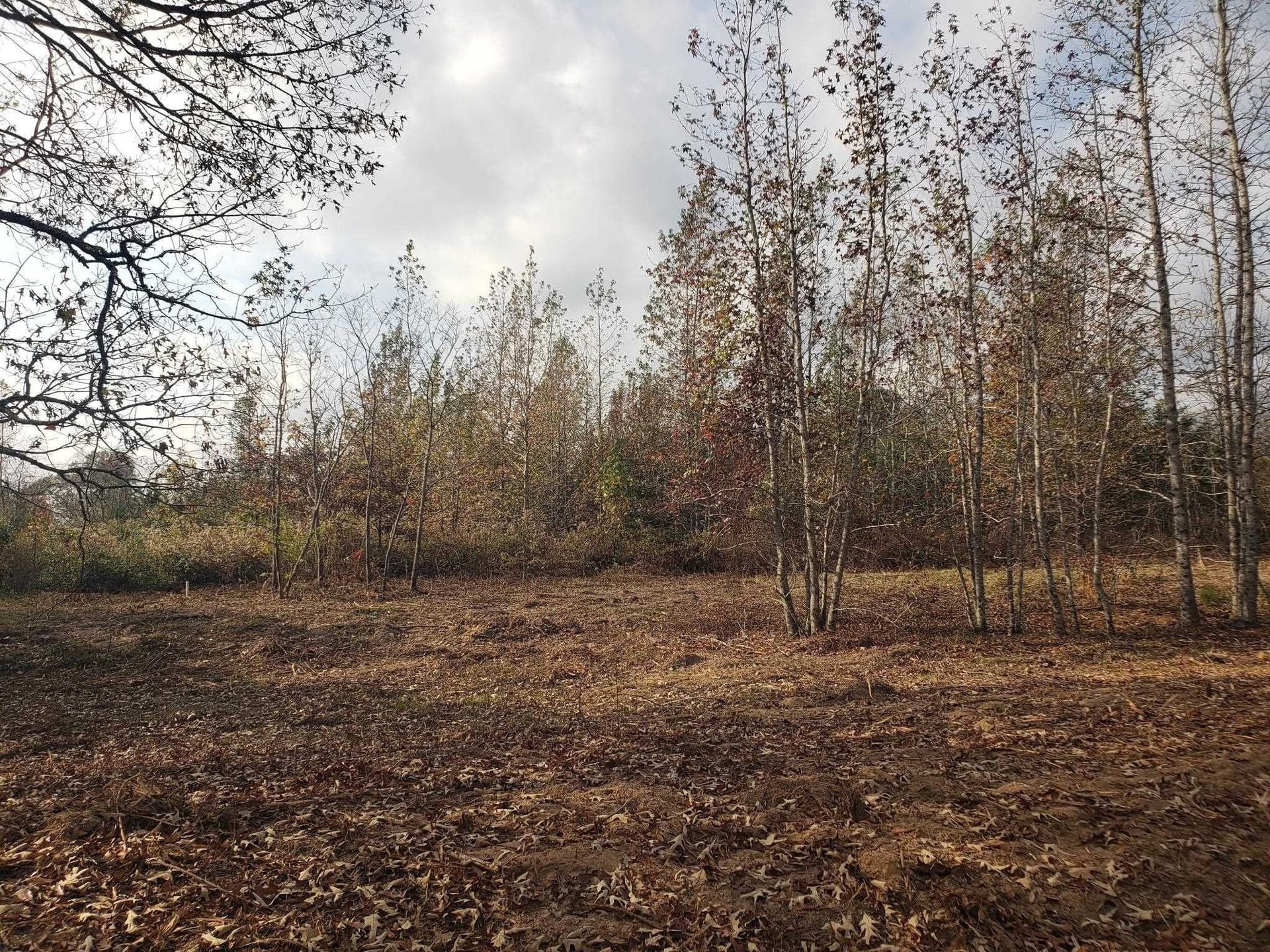 10.1 acres in Panola County - photo 9