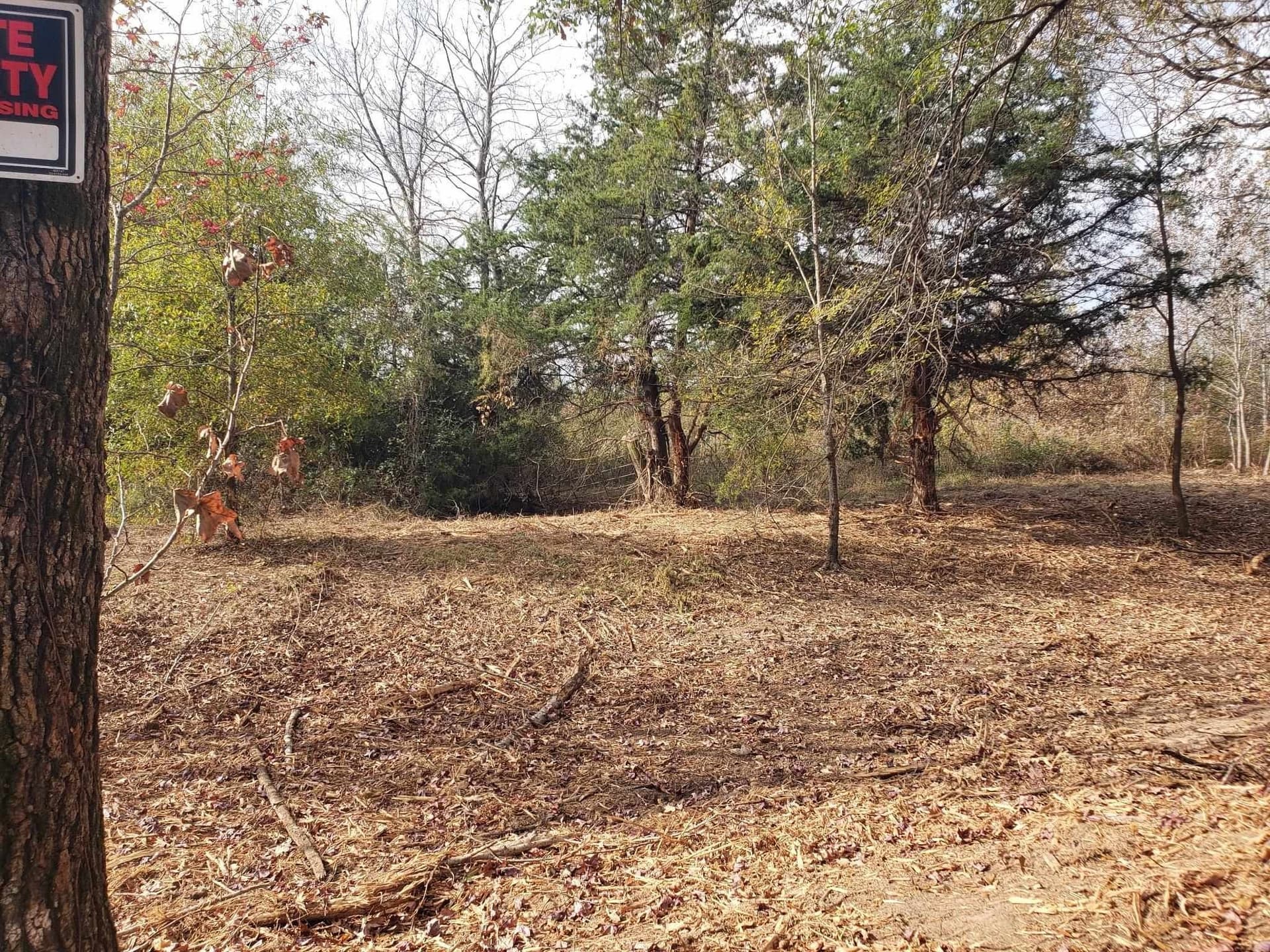 10.1 acres in Panola County - photo 6
