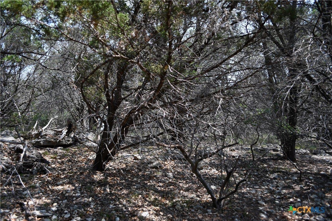 0.2 acres in Comal County - photo 5