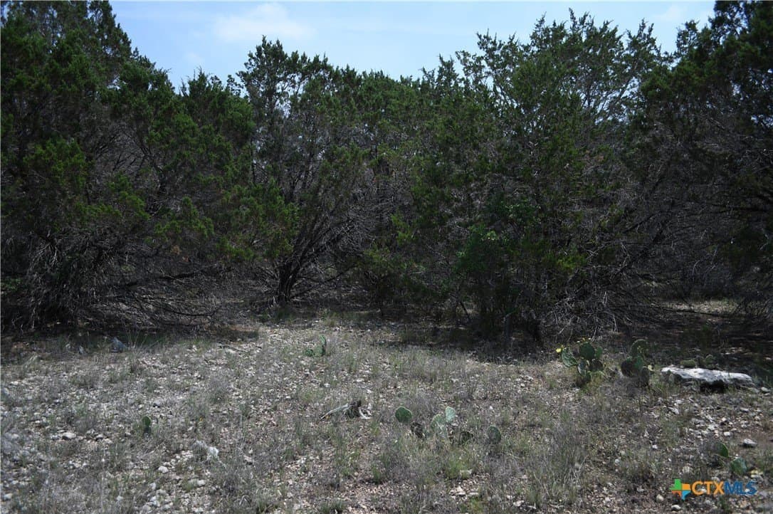 0.2 acres in Comal County - photo 2
