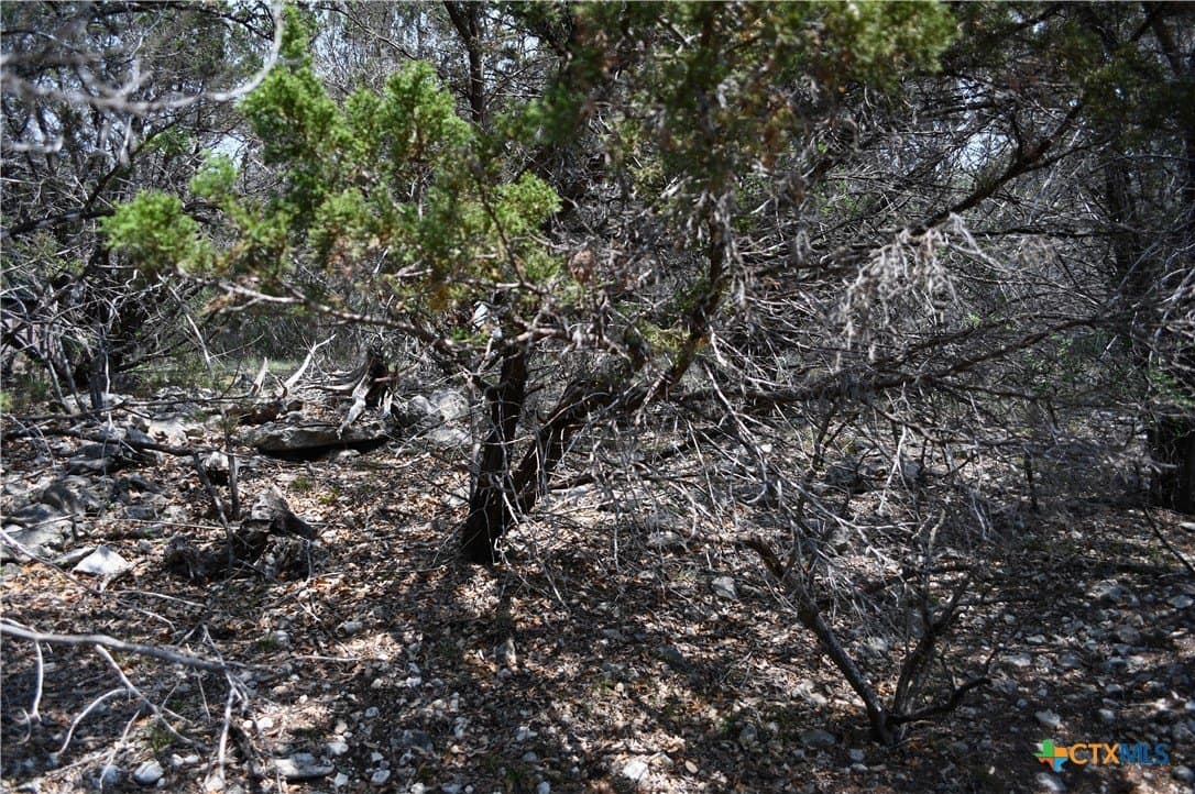 0.2 acres in Comal County - photo 4