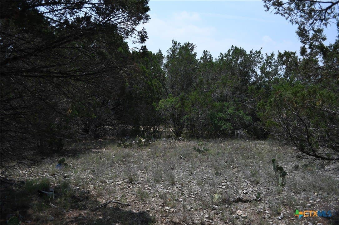 0.2 acres in Comal County - photo 3
