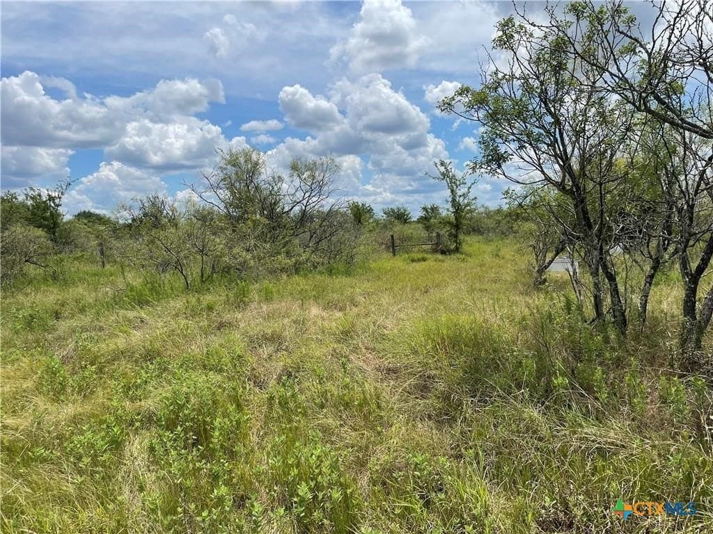 11.13 acres in Travis County - photo 3