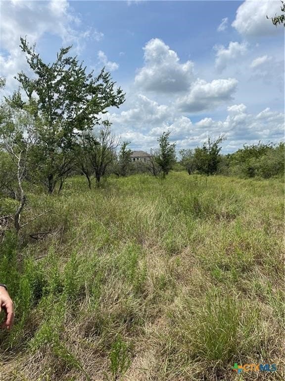 11.13 acres in Travis County - photo 7