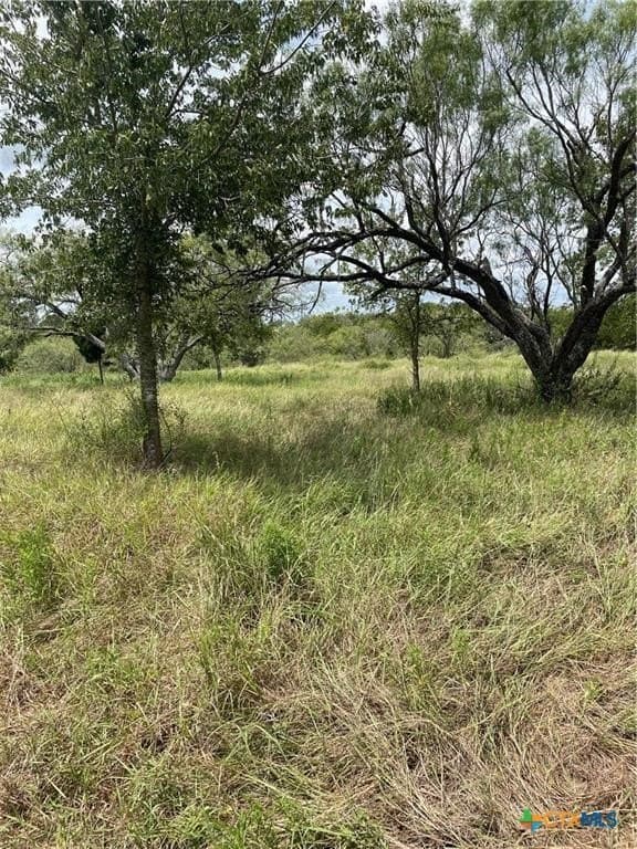 11.13 acres in Travis County - photo 8