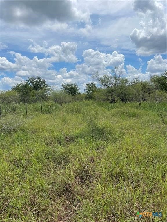 11.13 acres in Travis County - photo 12