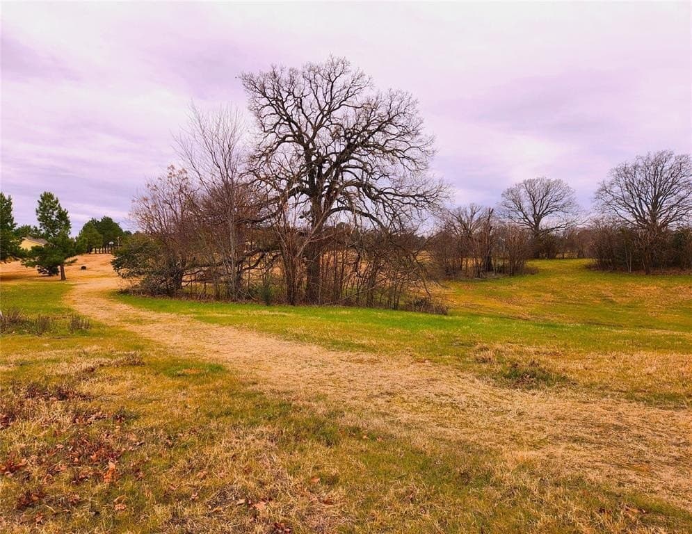 1.02 acres in Henderson County - photo 12