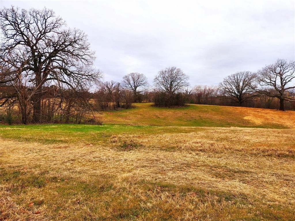 1.02 acres in Henderson County - photo 10