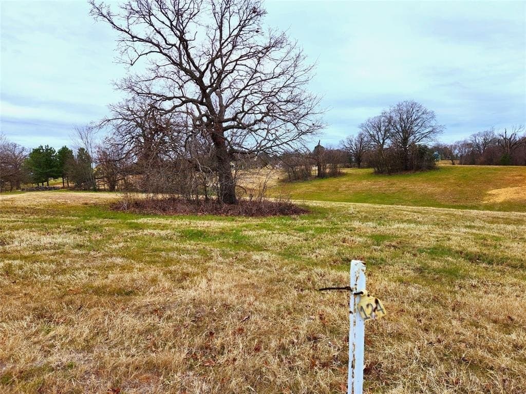 1.02 acres in Henderson County - photo 20