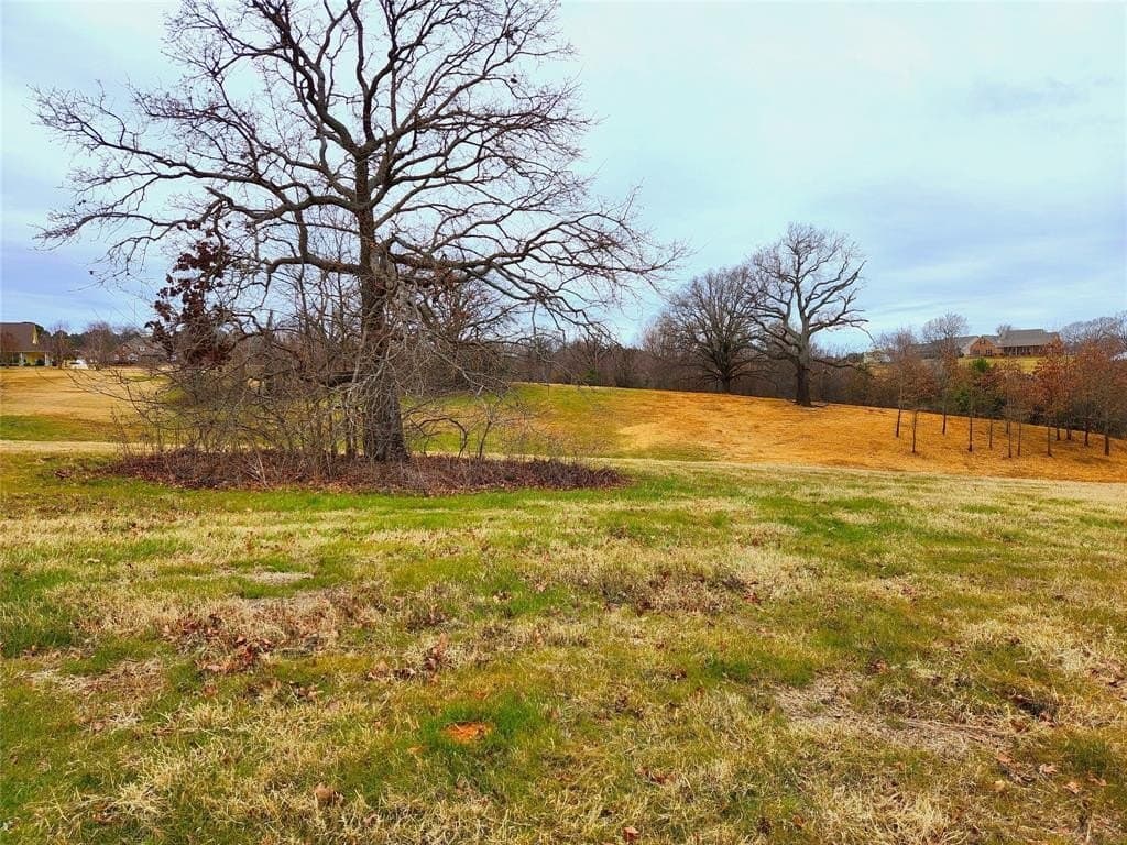 1.02 acres in Henderson County - photo 2