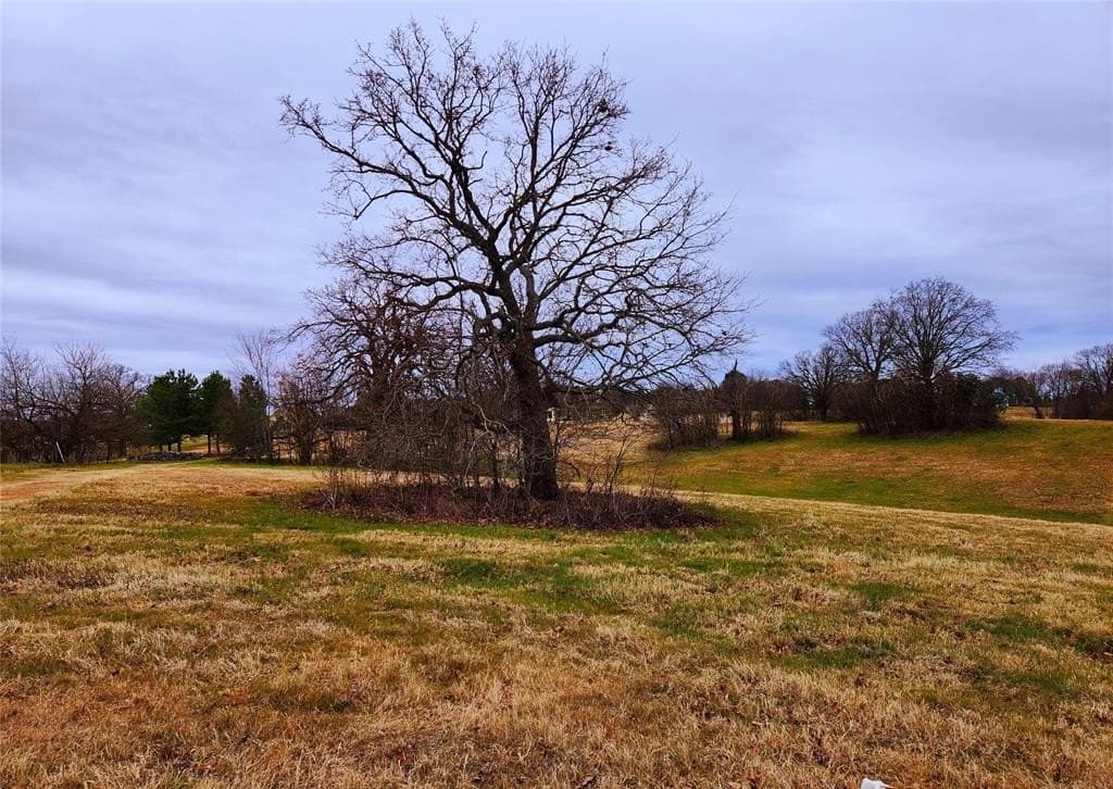 1.02 acres in Henderson County - photo 21