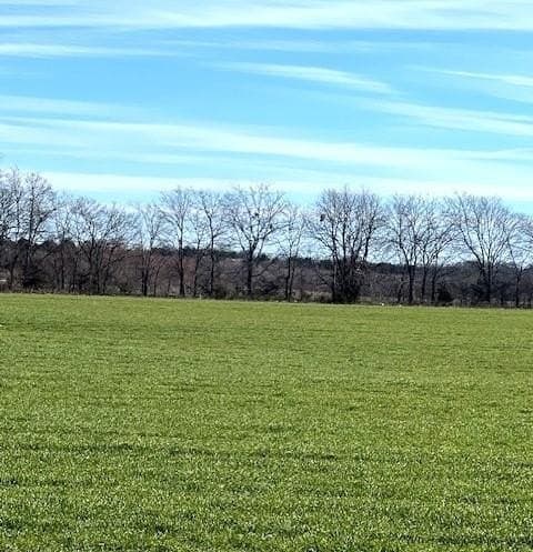 21.98 acres in Lamar County - photo 20