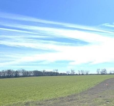 21.98 acres in Lamar County - photo 8