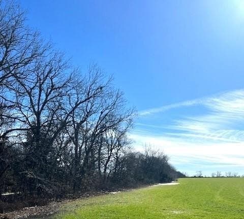 21.98 acres in Lamar County - photo 17