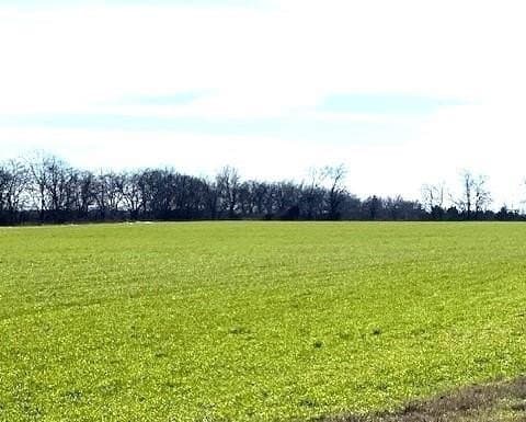 21.98 acres in Lamar County - photo 2