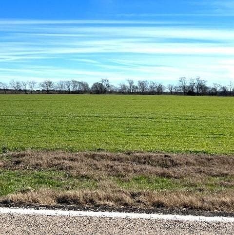 21.98 acres in Lamar County - photo 22