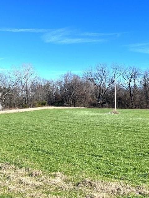 21.98 acres in Lamar County - photo 14