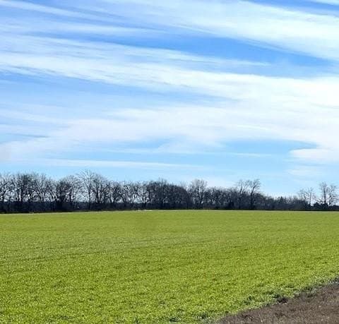 21.98 acres in Lamar County - photo 15