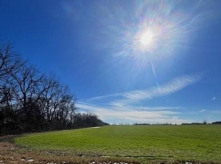 21.98 acres in Lamar County - photo 4