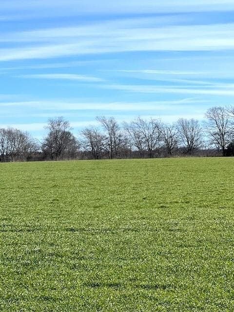 21.98 acres in Lamar County - photo 30