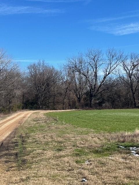 21.98 acres in Lamar County - photo 10
