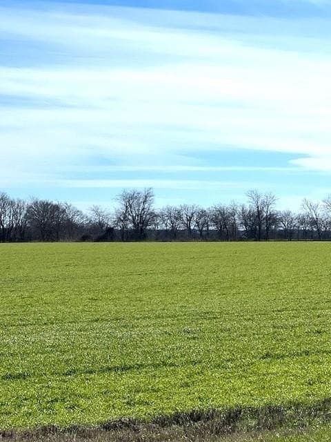21.98 acres in Lamar County - photo 21