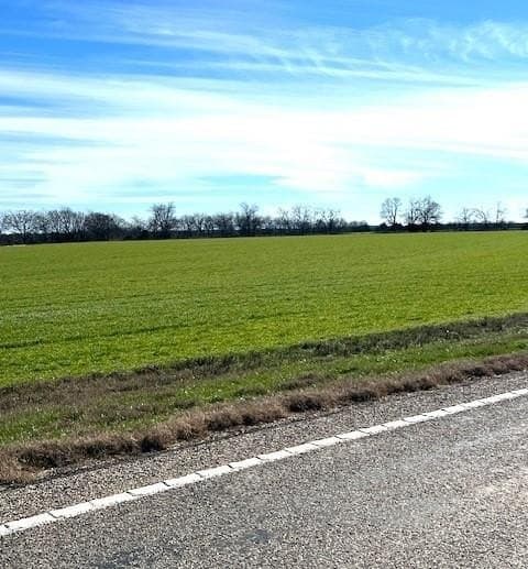 21.98 acres in Lamar County - photo 19