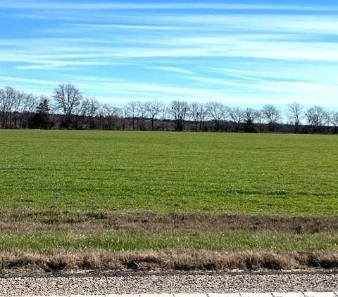 21.98 acres in Lamar County - photo 18