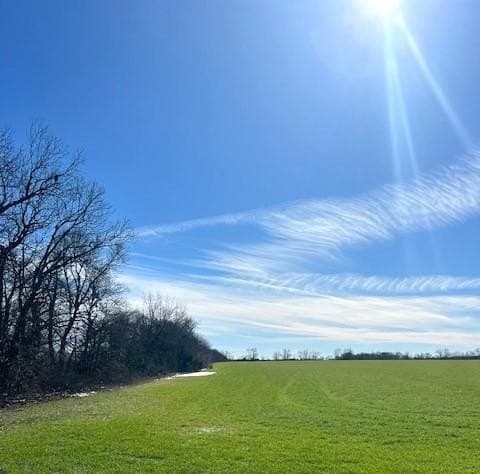 21.98 acres in Lamar County - photo 24