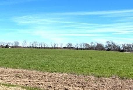 21.98 acres in Lamar County - photo 25