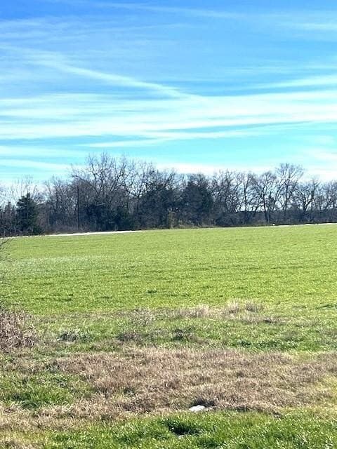 21.98 acres in Lamar County - photo 9