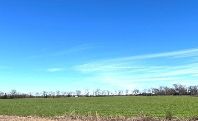 21.98 acres in Lamar County - photo 27