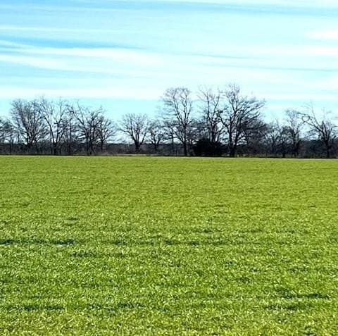 21.98 acres in Lamar County - photo 5