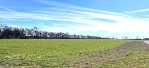 21.98 acres in Lamar County - photo 11