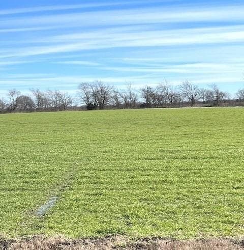 21.98 acres in Lamar County - photo 29