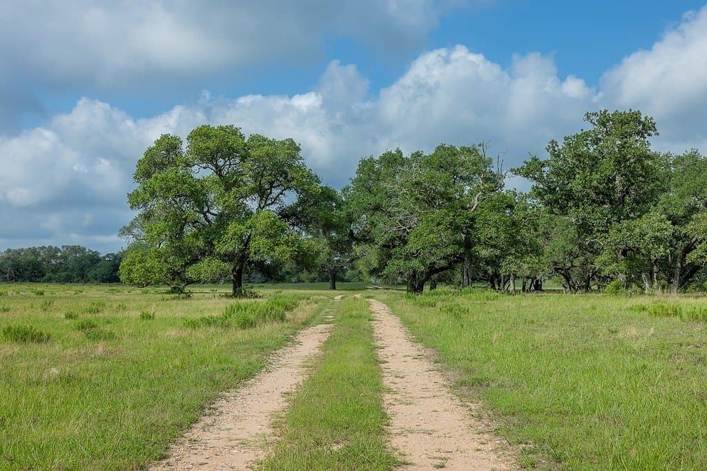 535.78 acres in Colorado County - photo 2