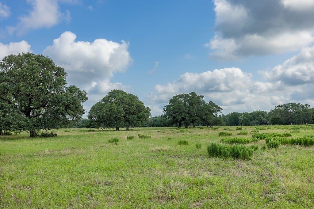 535.78 acres in Colorado County - photo 21