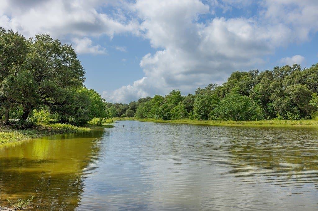 1561 County Road 154