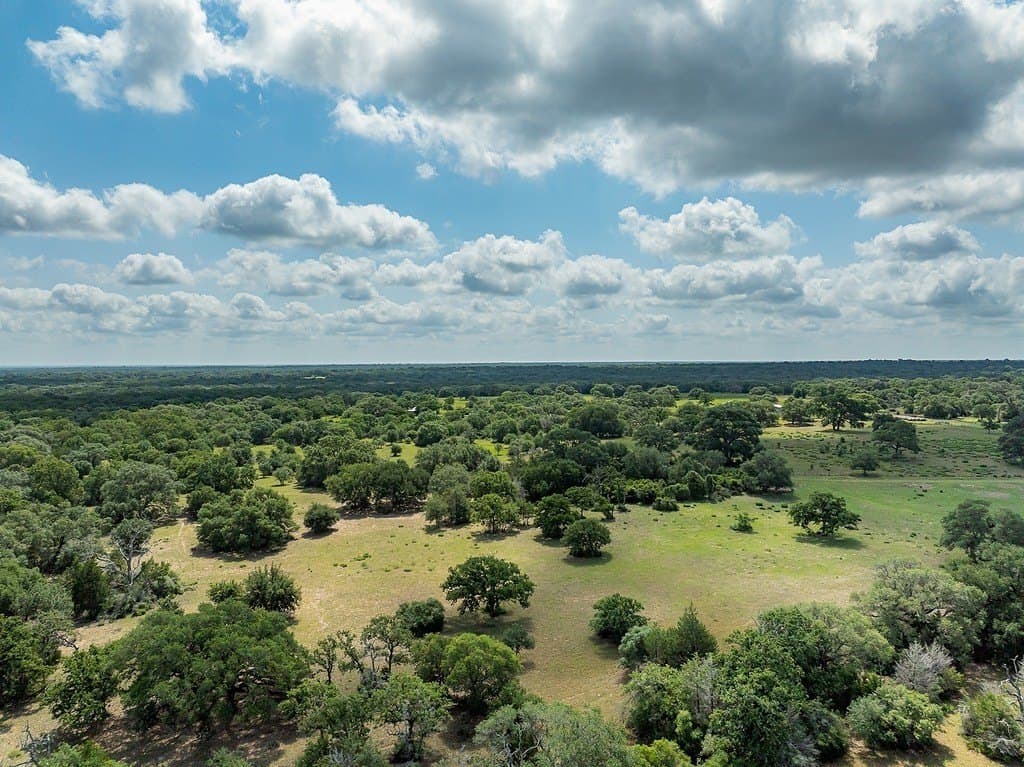 535.78 acres in Colorado County - photo 4