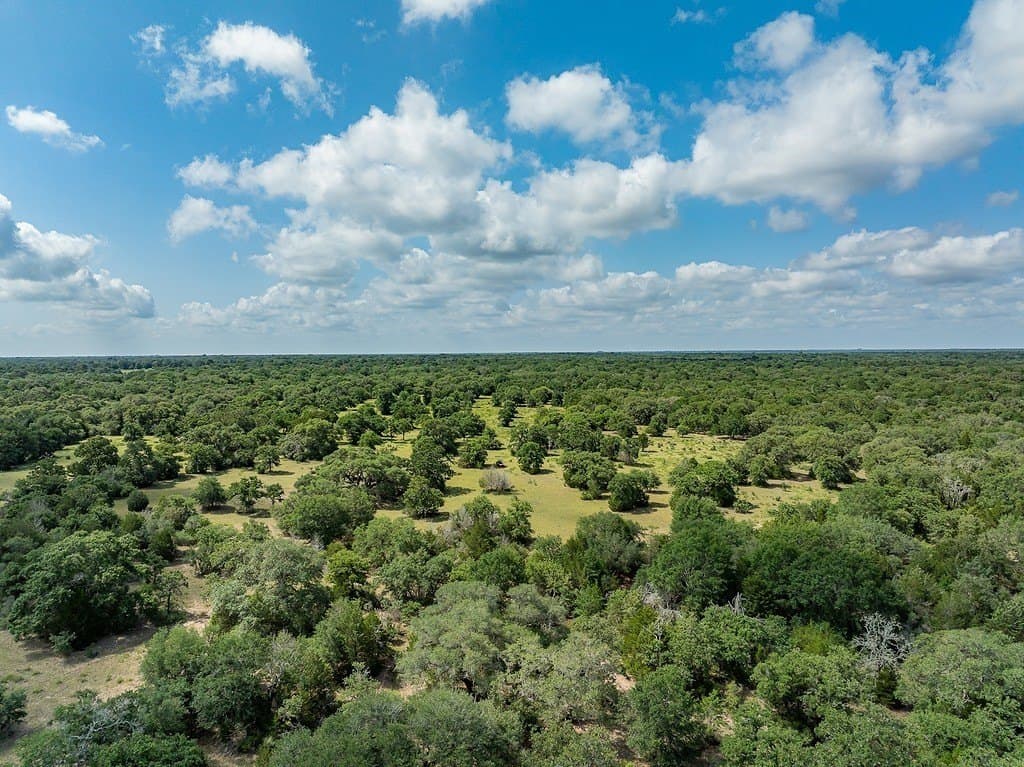 535.78 acres in Colorado County - photo 15