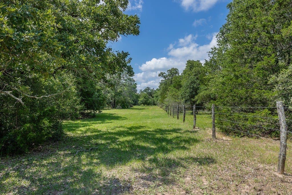 535.78 acres in Colorado County - photo 25