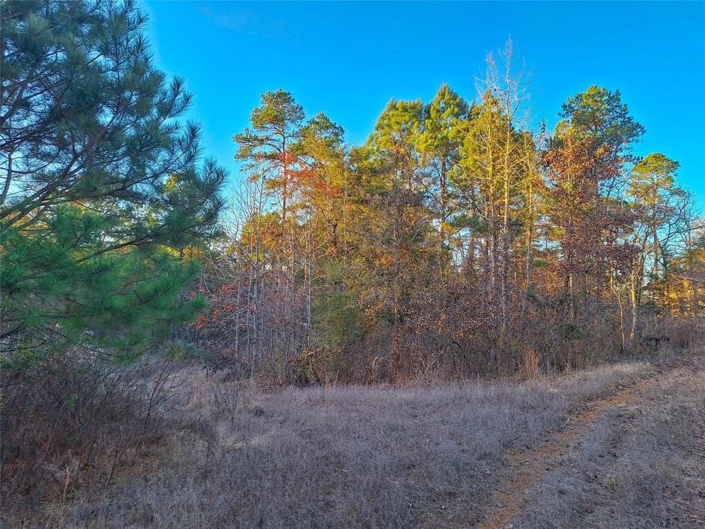 43.7 acres in Cass County - photo 6