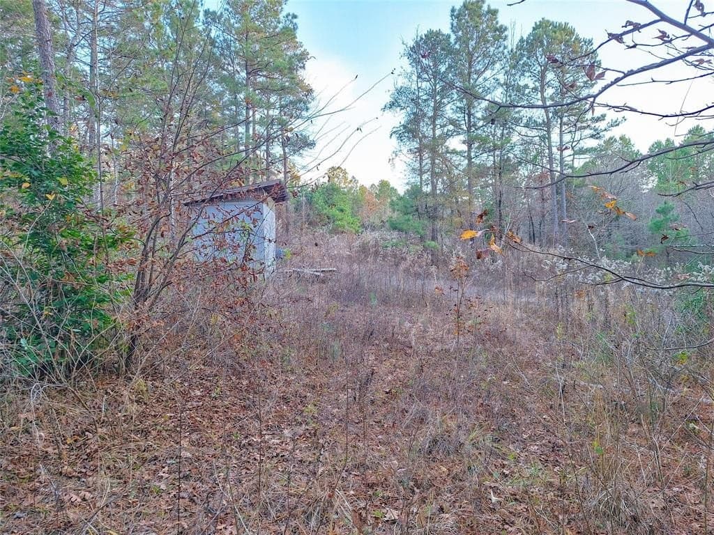 43.7 acres in Cass County - photo 23