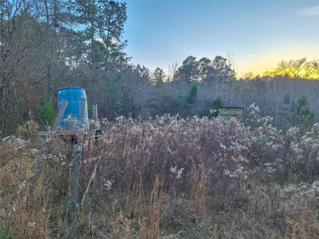 43.7 acres in Cass County - photo 28