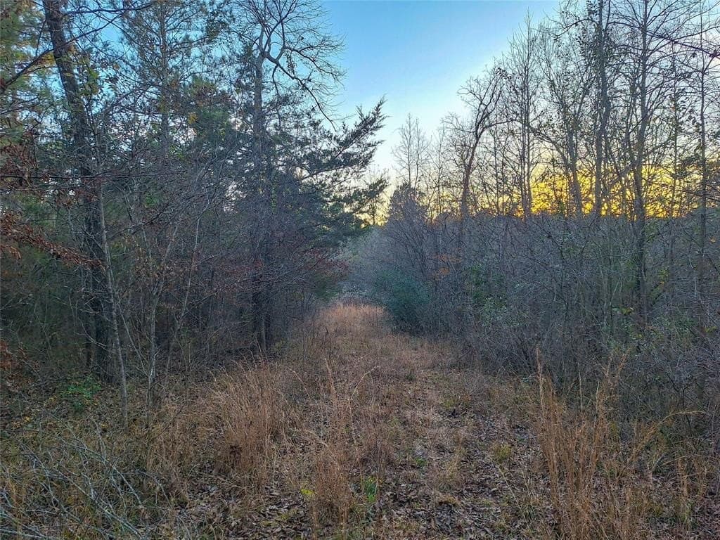 43.7 acres in Cass County - photo 19
