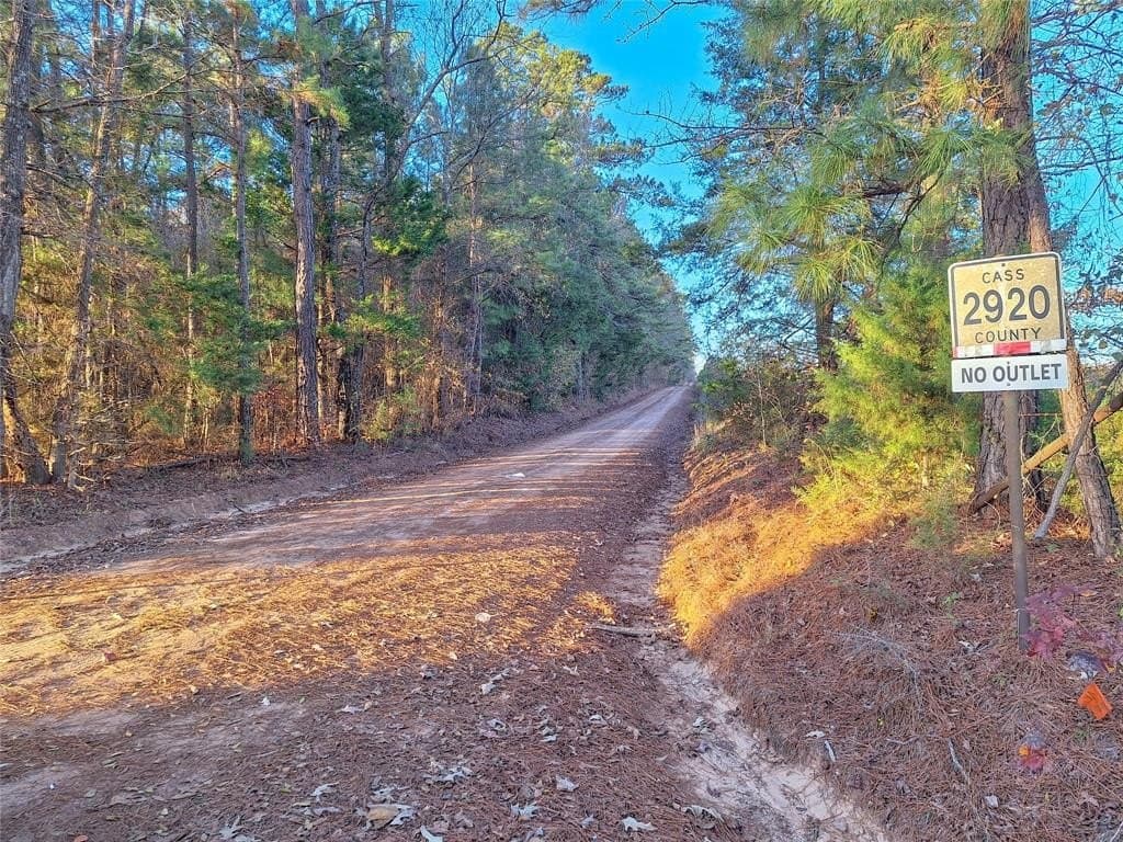 43.7 acres in Cass County - photo 33