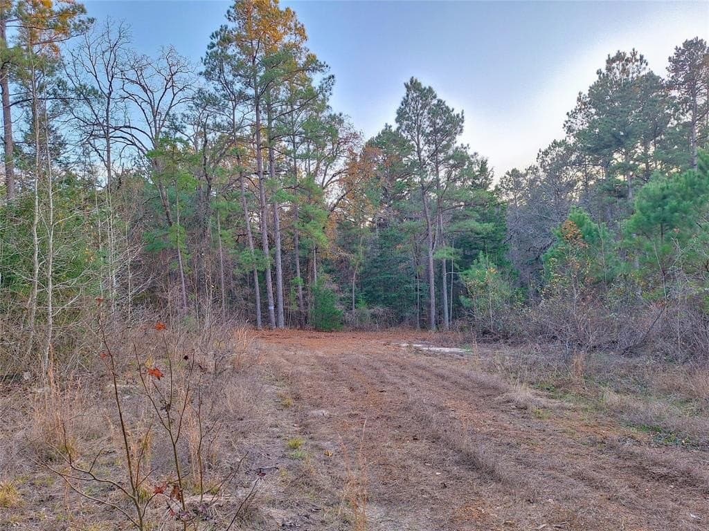 43.7 acres in Cass County - photo 22