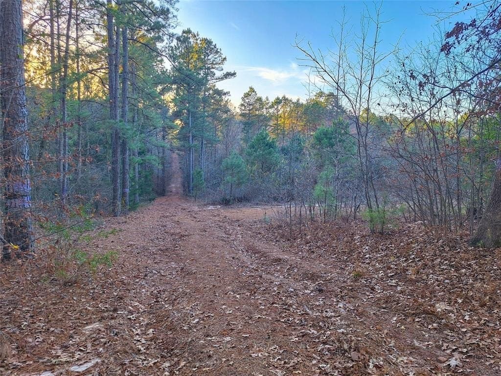 43.7 acres in Cass County - photo 21