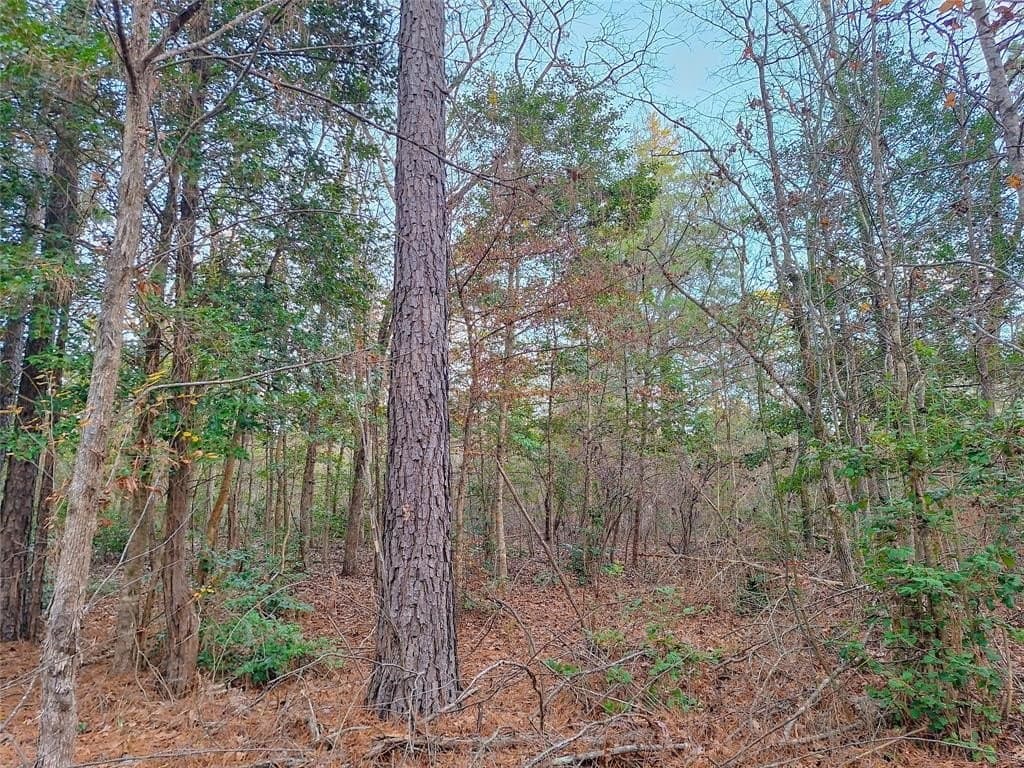 43.7 acres in Cass County - photo 30