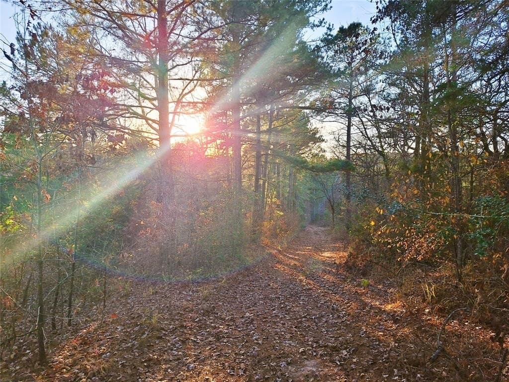 43.7 acres in Cass County - photo 2